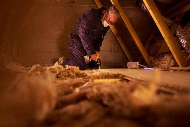 Best Insulation Repair Services  in Emerson, NJ